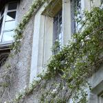 Bois des Moutiers (70) Mai 2012