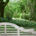 Bois des Moutiers (79) Mai 2012