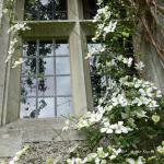 Bois des Moutiers (88) Mai 2012