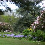 Bois des Moutiers (96) Mai 2012