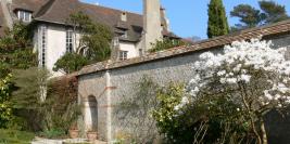 Bois des Moutiers - Mars - Les arbres, le printemps