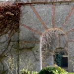 Bois des Moutiers (55) mars 2012