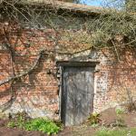 Bois des Moutiers (84) mars 2012