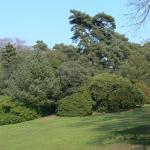 Bois des Moutiers (96) mars 2012