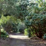 Bois des Moutiers (23) mars 2012