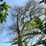 Moutiers (14) mars 2012