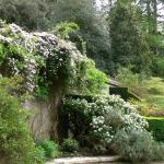 Bois des Moutiers (81) Mai 2012