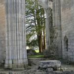 Jumièges (11) mars 2012