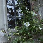 Bois des Moutiers (71) Mai 2012