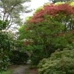 Bois des Moutiers (43) Mai 2012