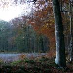 Chant d'automne 2012 (35)