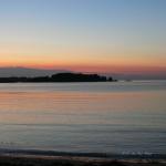 Rose sur granite rose