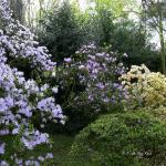 Bois des Moutiers (113) mai 2012