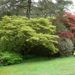 Bois des Moutiers (13) Mai 2012