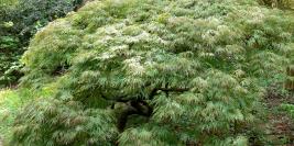 Paysages Nature Rencontres