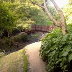 Jardin (2) Kahn sept 2011