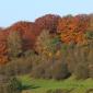Chant d'automne 2012 (6)