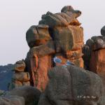 Crepuscule a Ploumanach (10)