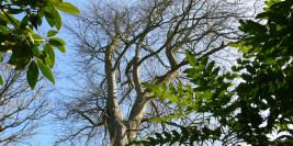 Mes Photos favorites