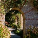 Eté indien au Bois des Moutiers 14