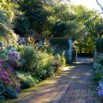 Eté indien au Bois des Moutiers 7