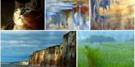 Focus sur les dernières photos