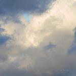 Focus Voyage d'hiver